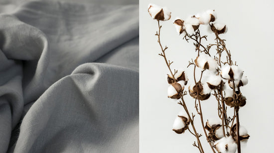 Linen Vs Cotton